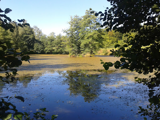 Spessartbogen - Visual