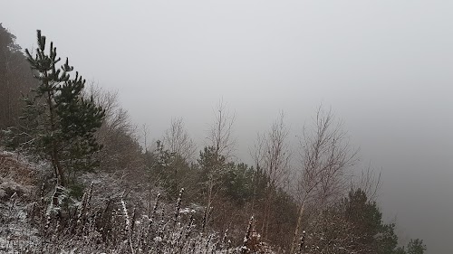 Kraštovaizdziai