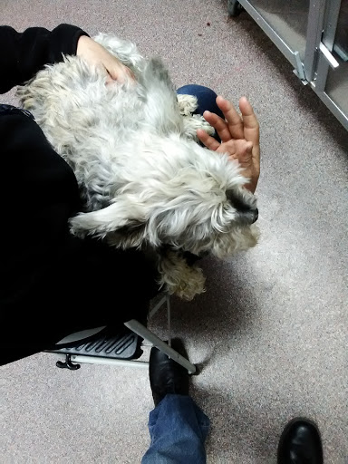 West Texas Emergency Veterinary Clinic - Thumbnail