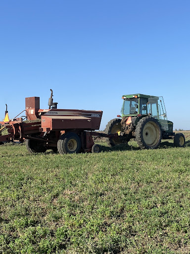 Rancho San Martin Alfalfa & Sudan - Thumbnail