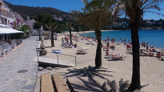 Beach-Club