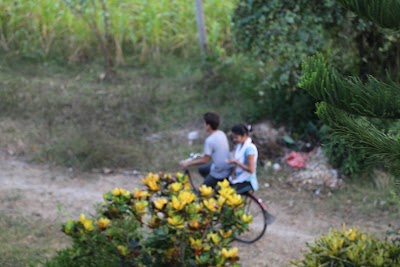 Photos of Nayaroad Bus Stop