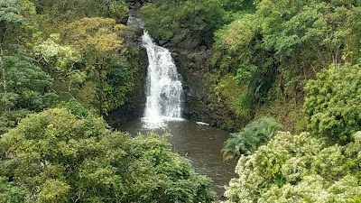 Garden of Eden Arboretum