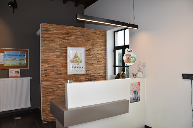 Molenstraat 48, 9890 Gavere