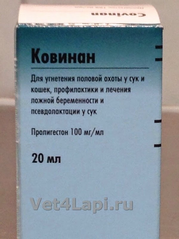 Ковинан для кошек купить. Ковинан. Вакцина Ковинан. Ковинан лекарства. Ковинан для кошек.