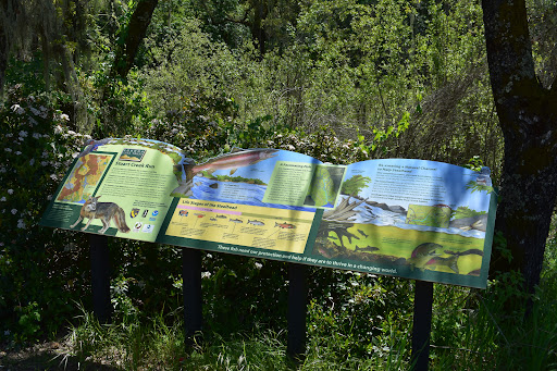 Stuart Creek Run