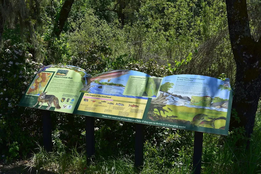 Stuart Creek Run photo