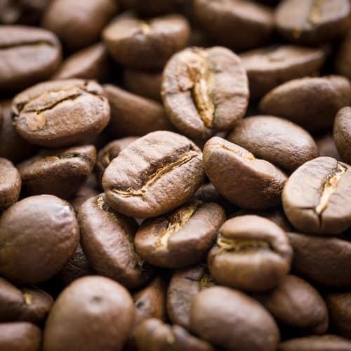 Guate Cafe - Visual