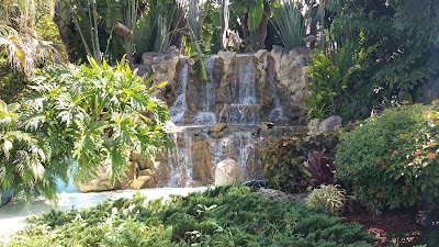 Photos of Lion Country Safari