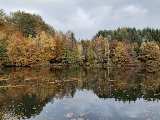 Camping Wersbachtal