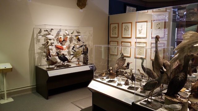 Museum of Natural History and Planetarium