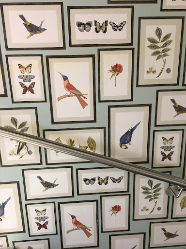 Boutique Aigle Lyon - Thumbnail