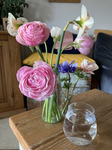 Tula Therapy - Reflexology and Forest Bathing, Bridport