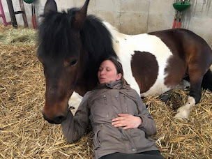 Photo n°10 de BMV DRESSAGE ECOLE EQUITATION DADA COOL à Palise (Centre équestre)