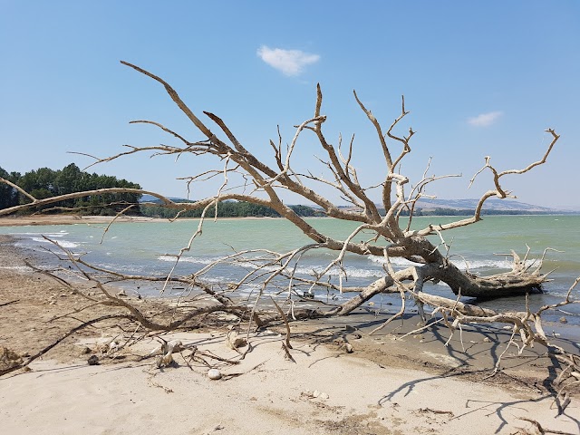 Lago di San Giuliano
