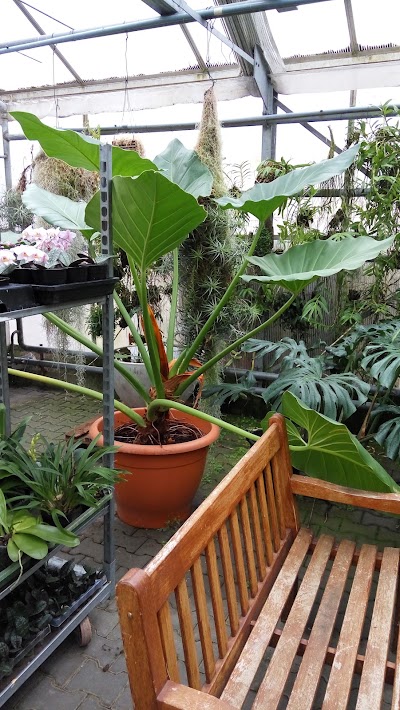Photos of Orchideengarten Karge