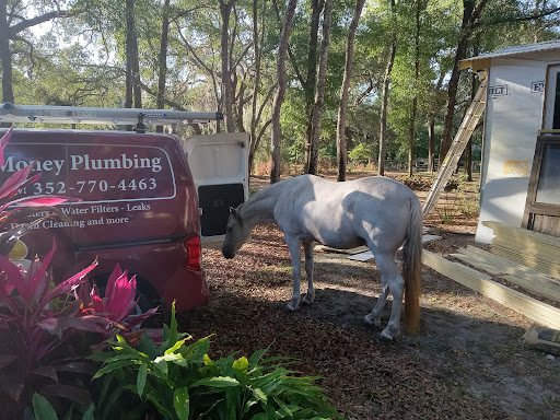 Save money Plumbing - Thumbnail