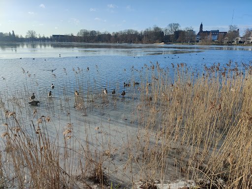 Ingsbergssjön - Visual