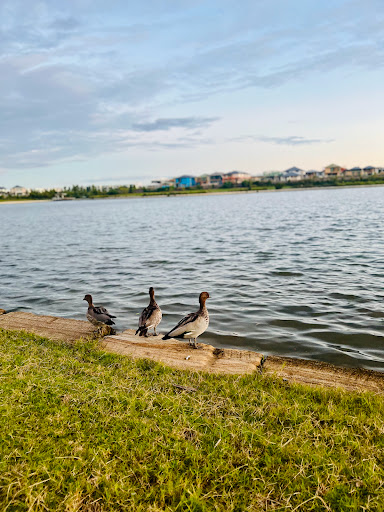 Capestone Development Park - Visual