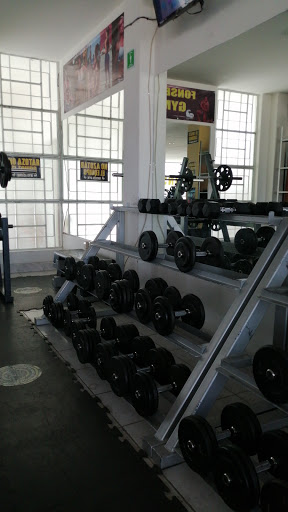 Fonseca Gym - Thumbnail