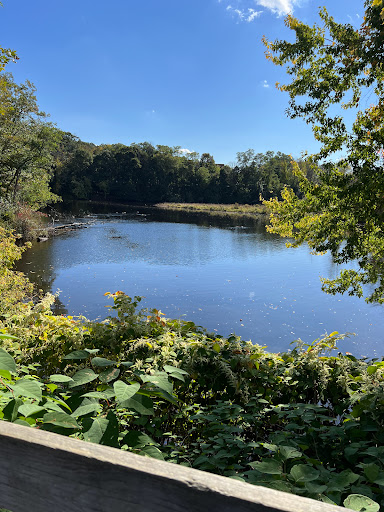 Old Eastern Marsh Trail - Thumbnail