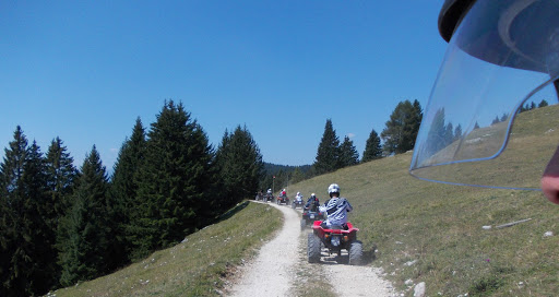 Palano Servizi Asiago - Thumbnail