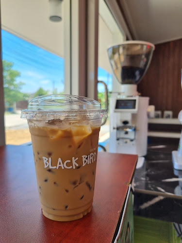 Black Bird Drip Coffee & Roastery
