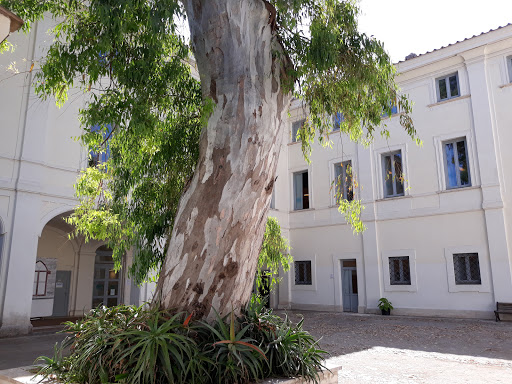 Biblioteca Comunale di Villa Guglielmi - Thumbnail