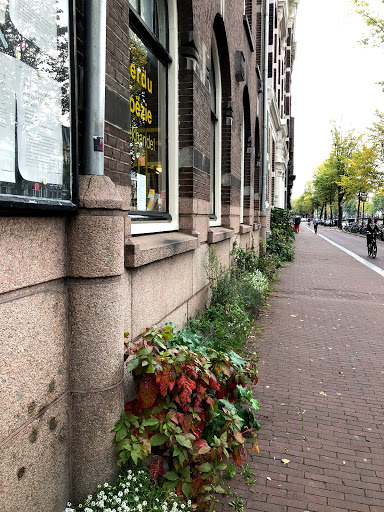 Perdu Bookstore - Thumbnail