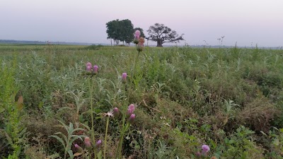Photos of Sayedpur Field