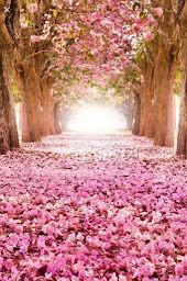 Photo n°3 de Elodie Patrigeon Sophrologue Caycédienne à Châteauroux (Coaching professionnel)