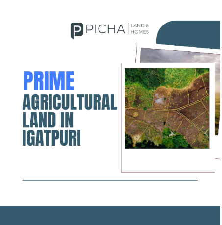 🌾 Prime Agricultural Land for Sale in Igatpuri – Unlock Endless Opportunities! 🌟 post image