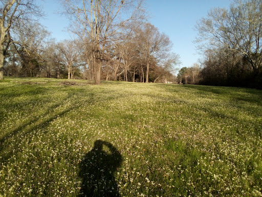 Claiborne Park - Thumbnail
