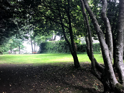 T'Chookwap Park - Visual