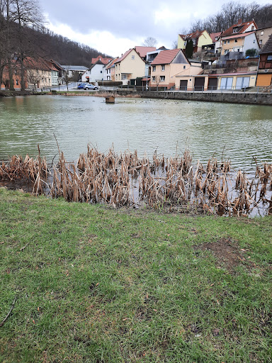Hagenteich - Thumbnail