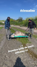 Photo n°18 de Rivesaline - Marais Salant - Boutique de Producteur à La Couarde-sur-Mer (Agriculteur)