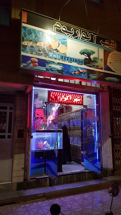 Photos of City Aquarium