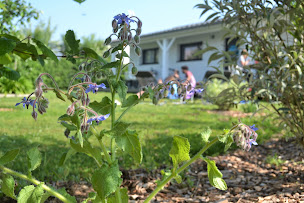 Photo n°19 de Ecolodge le Sermandeau à Brem-sur-Mer (Maison d'hôtes)