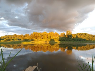 park