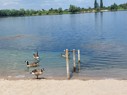 Parkplatz Altrheinsee - Thumbnail