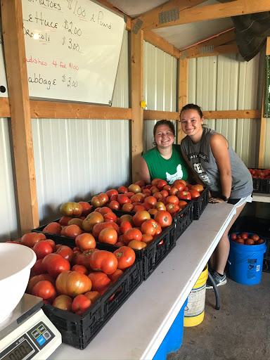 Chappell Farms Produce