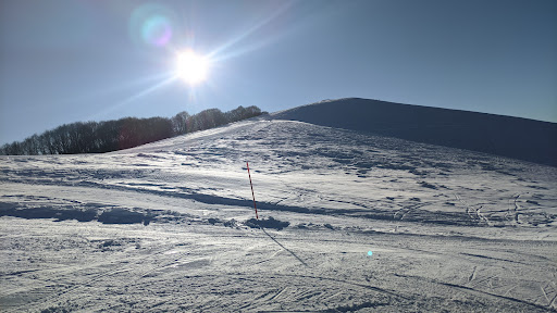 Polsa Di Brentonico