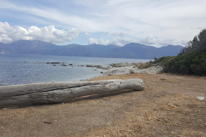 Visit Plage Du Lotu On Your Trip To Corsica Or France