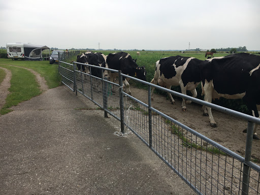 Boerderijcamping De Koaipleats - Thumbnail