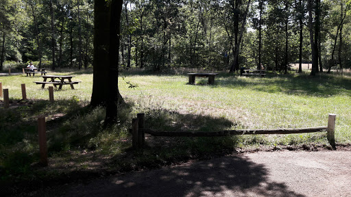 Westerrode - Thumbnail