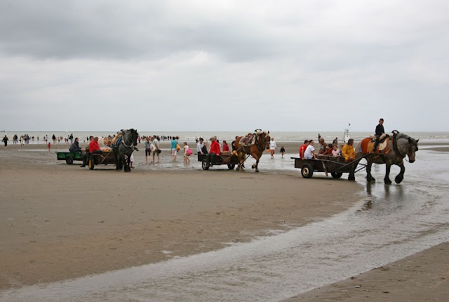 Plage d'Oostduinkerke