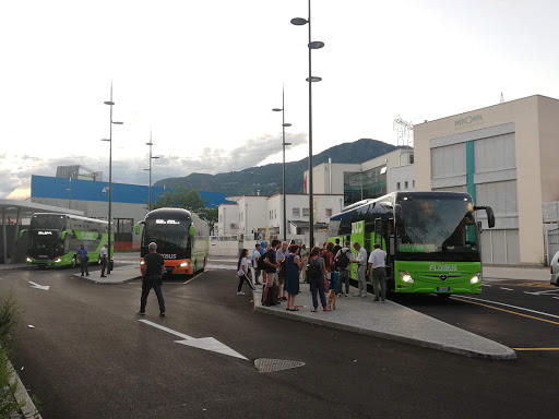 BUZ - stazione autobus a lunga percorrenza Logo