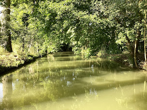Photo n°36 de Embarcadère de l'Autize - Barques Canoës et Restauration à Saint-Sigismond (Restaurant)