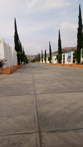 SERVICIOS FUNERARIOS MTP - Thumbnail