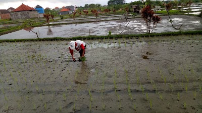 Photos of Perumahan Dosen Kopertis